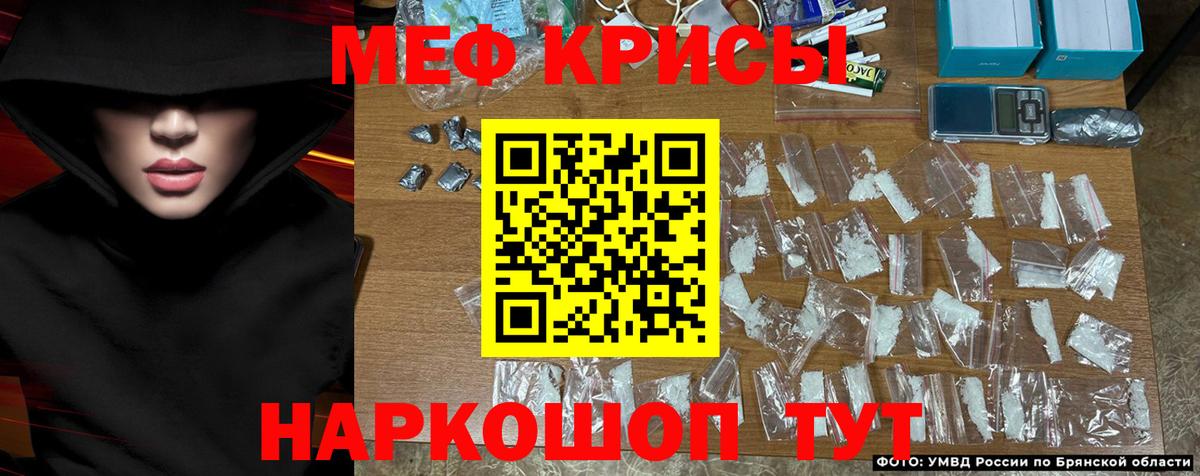 МЯУ-МЯУ  МЯУ-МЯУ 4 MMC  Вход с VPN  МЕФ  Рязань 