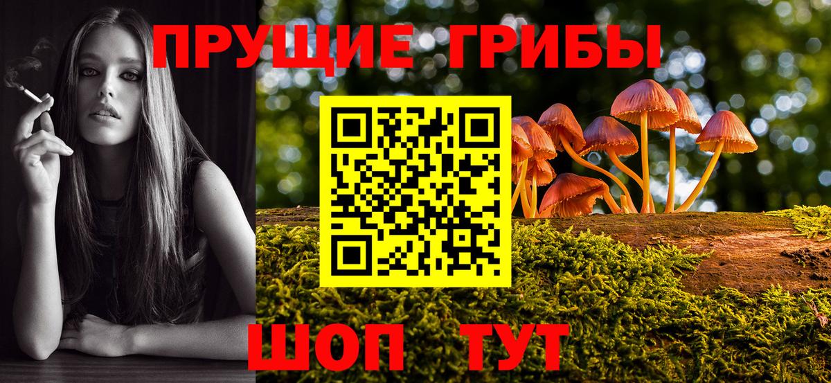 Псилоцибиновые грибы мухоморы  Вход с VPN  Псилоцибиновые грибы Psilocybe  Рязань 